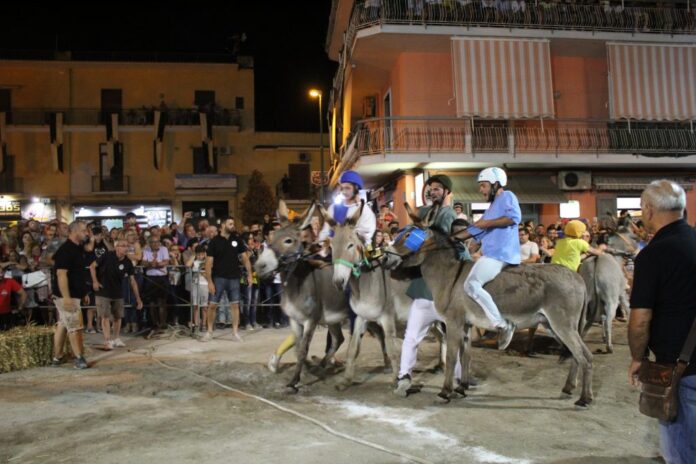 Santa Maria la Carit grande attesa per il Palio del Ciuccio